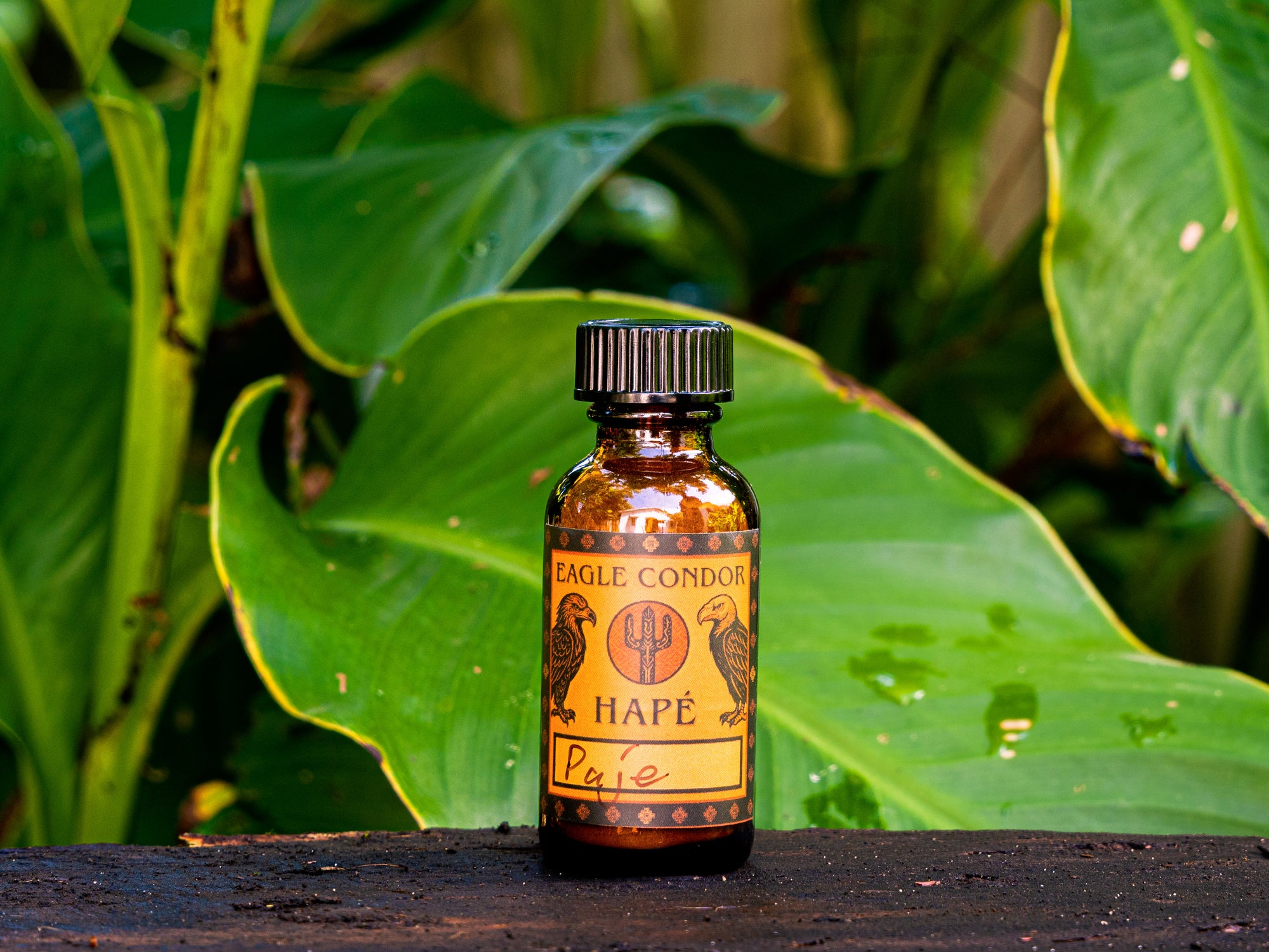 Bottle of Eagle Condo Hape Paje on a leafy background