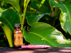 Palo Santo Kuripe