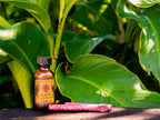 Palo Santo Kuripe