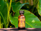Bottle of Eagle Condor Hape on a leafy background